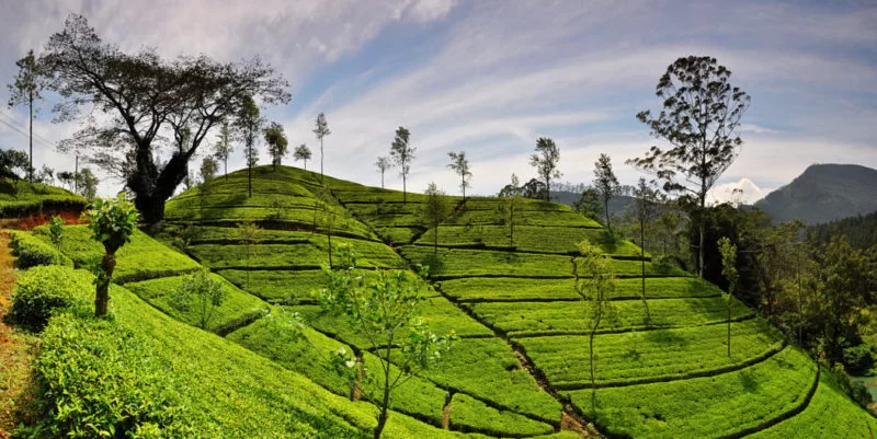 sri lanka