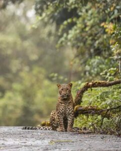 whatsapp image 2025 02 21 at 18.34.52 bb88cc01