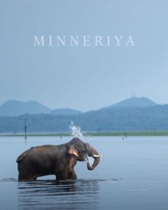 whatsapp image 2026 03 19 at 11.06.34 am (2)