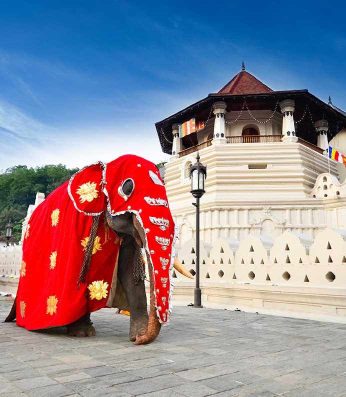 temple sacred tooth relic kandy sri lanka