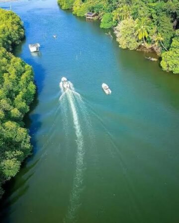 Madu river boat safari