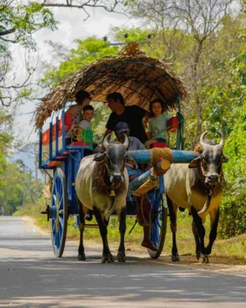 Sri Lankan Village & Food Experience